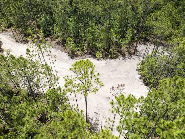 Cedar Rd, New Smyrna Beach, FL 32168 - photo 10