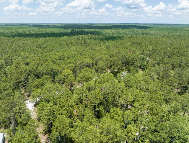 Cedar Rd, New Smyrna Beach, FL 32168 - photo 14