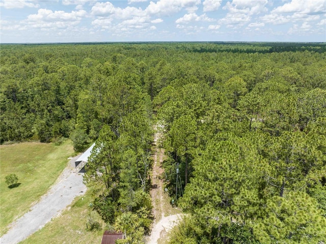 Cedar Rd, New Smyrna Beach, FL 32168 - photo 15