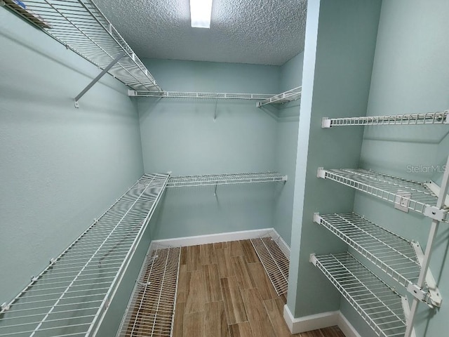 walk in closet with wood-type flooring