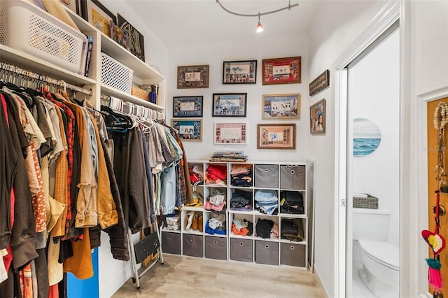 spacious closet featuring light hardwood / wood-style flooring