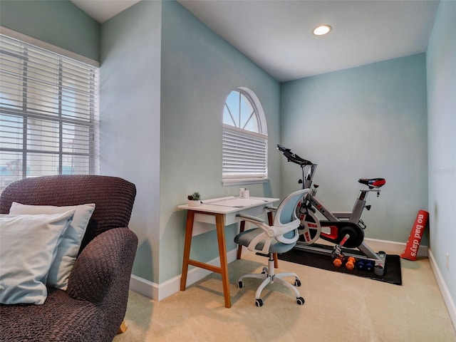 home office with light colored carpet
