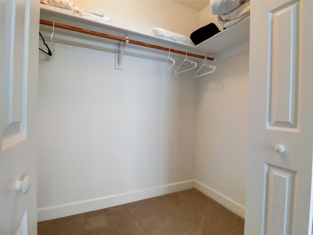 spacious closet with light colored carpet