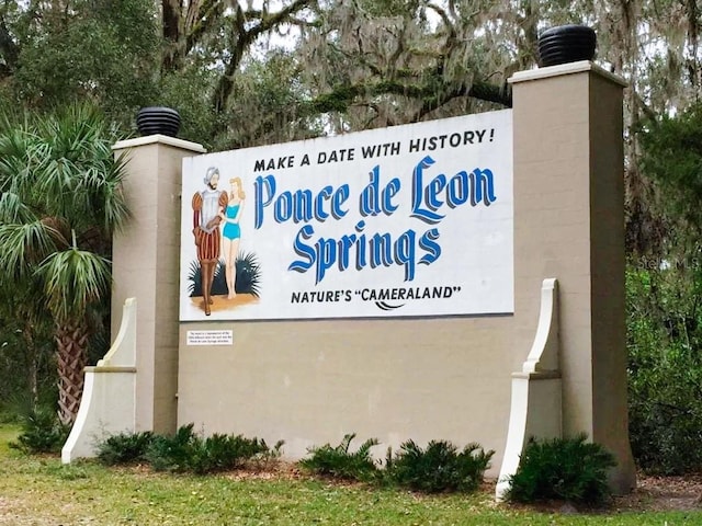 Listing photo 3 for 0 Spring Garden Ave Unit 01, De Leon Springs FL 32130