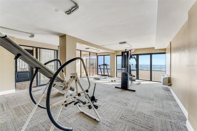 exercise room with light carpet and a water view