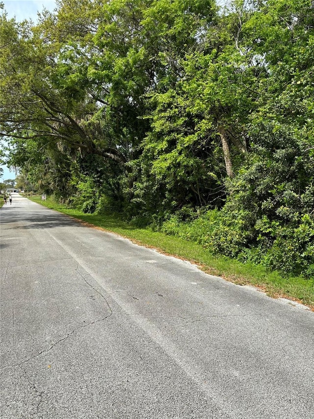 Poinciana Rd, Edgewater FL, 32141 land for sale