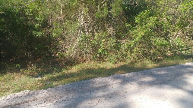 123 Bayberry Rd, Georgetown FL, 32139 land for sale