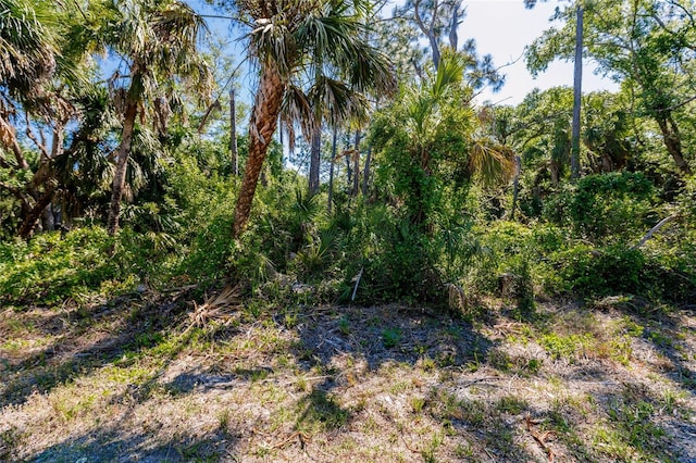 96 Stevensville St, Port Charlotte FL, 33954 land for sale