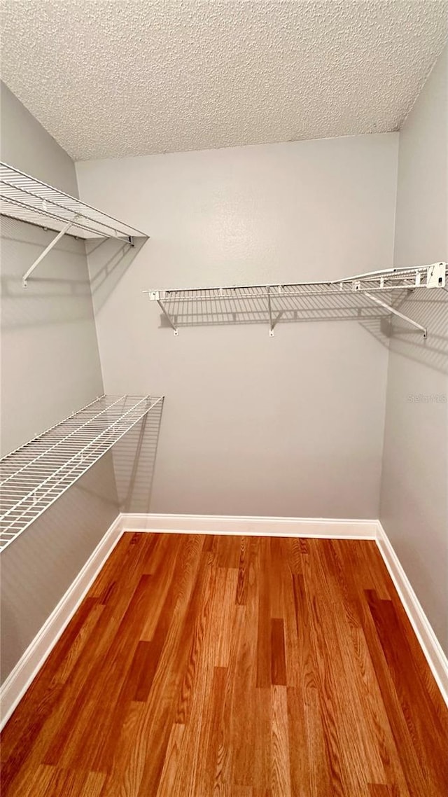 spacious closet featuring wood-type flooring