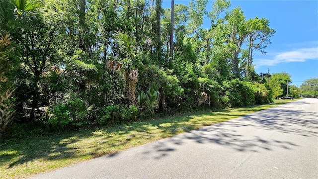 James St, New Smyrna Beach FL, 32168 land for sale