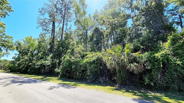 Listing photo 3 for James St, New Smyrna Beach FL 32168