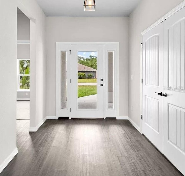 foyer entrance with dark hardwood / wood-style flooring