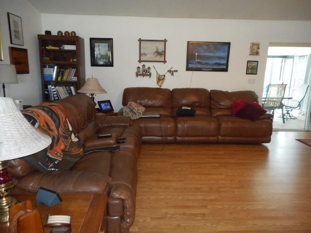 living room with wood-type flooring