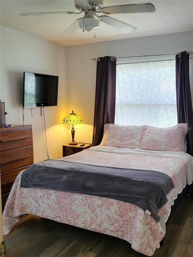 806 S Street, New Smyrna Beach, Fl 32168, FL 32168 - photo 12
