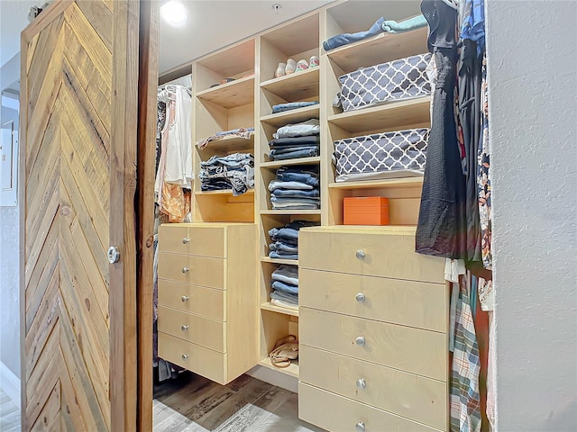 spacious closet with hardwood / wood-style flooring