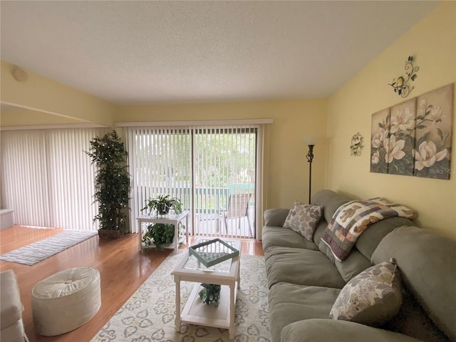 living room with hardwood / wood-style flooring and a textured ceiling