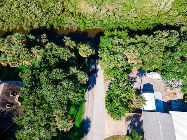 4606 Doris Dr, New Smyrna Beach, FL 32169 - aerial view