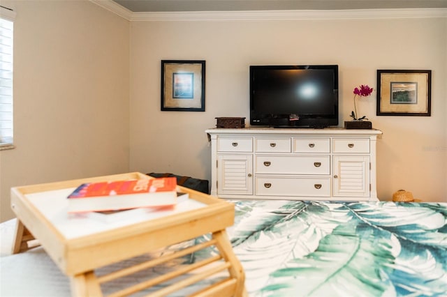4606 Doris Dr, New Smyrna Beach, FL 32169 - bedroom featuring crown molding