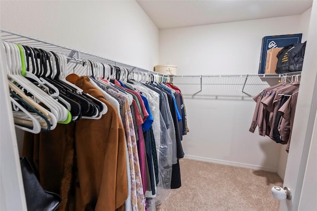 walk in closet with light carpet