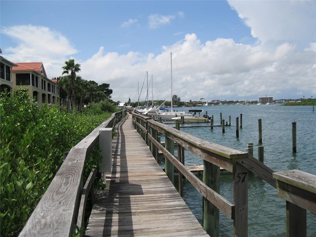 dock area with a water view