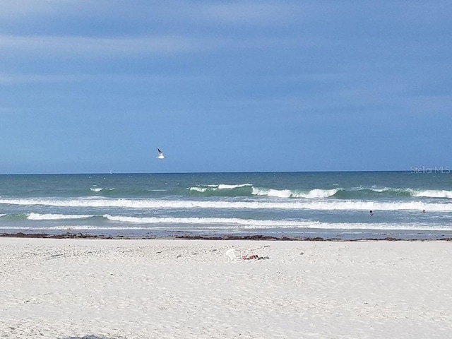 water view featuring a beach view