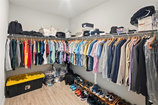 spacious closet with hardwood / wood-style flooring