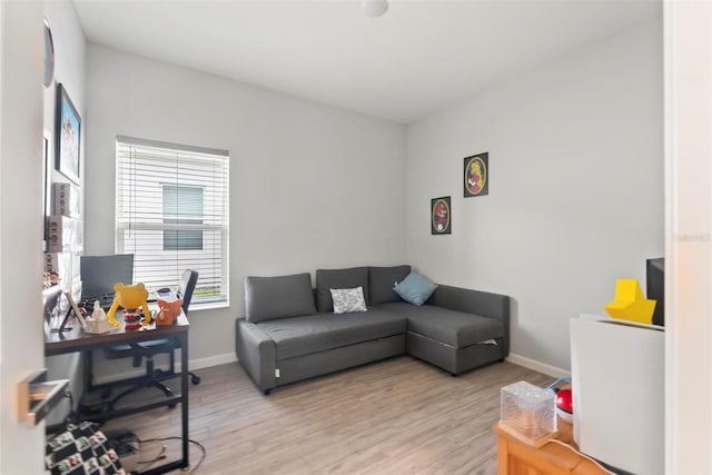 living room with light hardwood / wood-style flooring