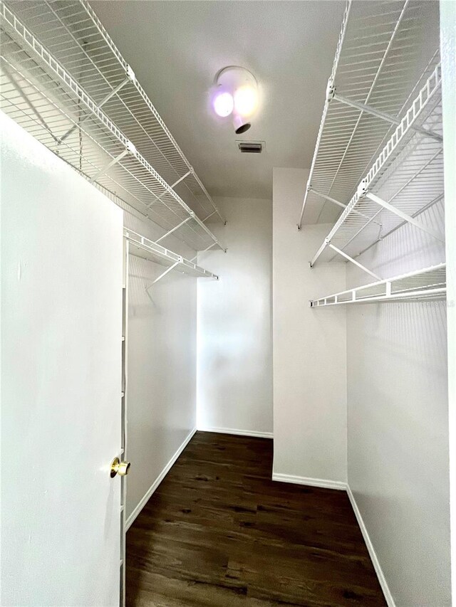 spacious closet featuring dark hardwood / wood-style floors