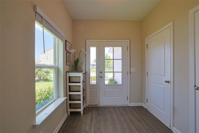 entryway with dark wood-type flooring and a wealth of natural light