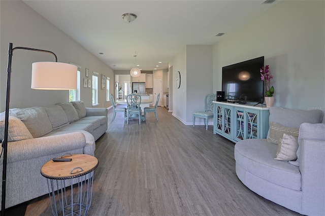 living room featuring wood-type flooring