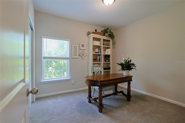 office space featuring carpet flooring