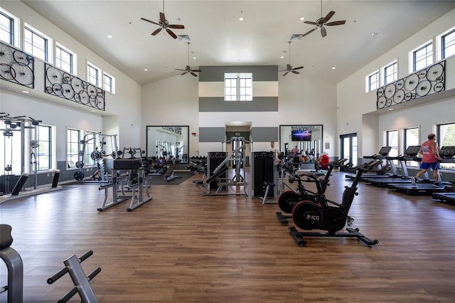 exercise room featuring dark hardwood / wood-style floors and a towering ceiling