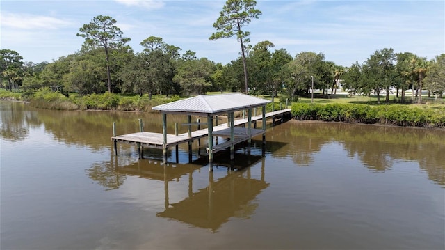 dock area with a water view