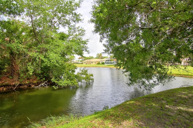 view of water feature