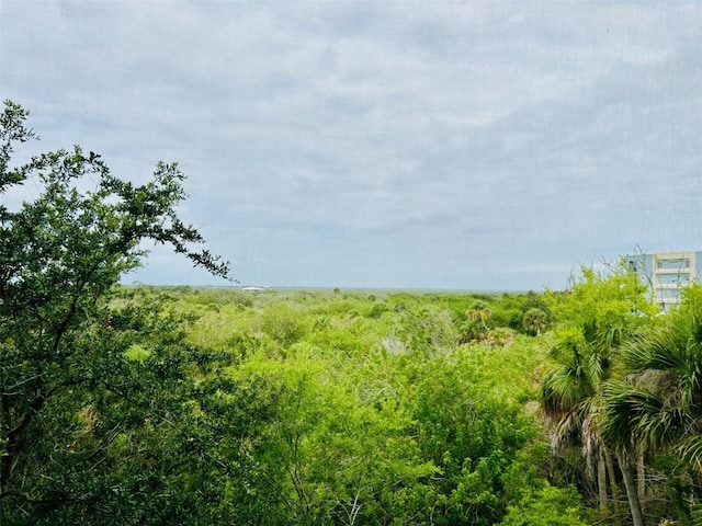 view of local wilderness