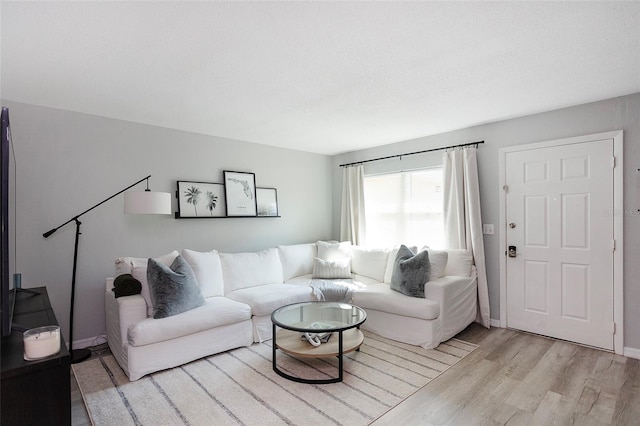 living room with light wood-type flooring