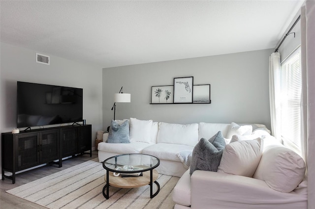 living room featuring hardwood / wood-style floors