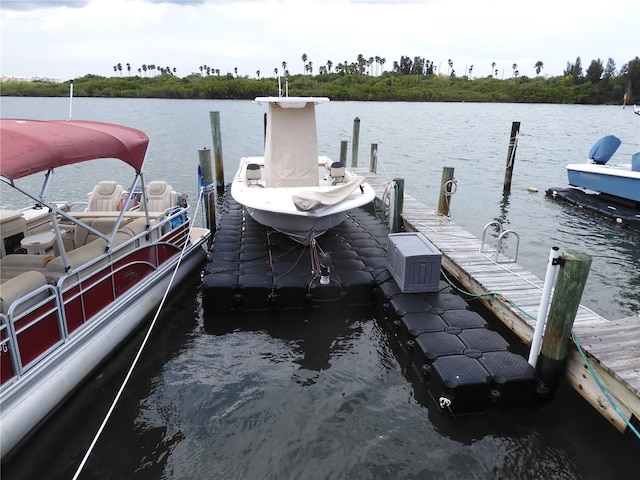 dock area featuring a water view