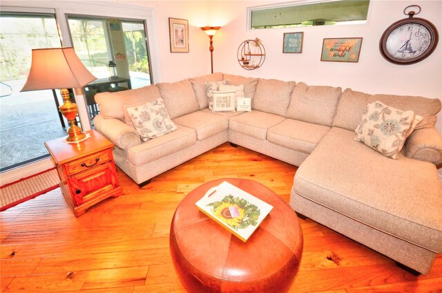 living room with hardwood / wood-style floors