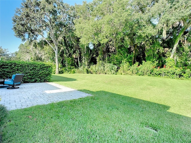 view of yard with a patio