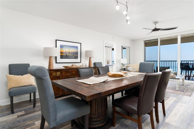 dining space with wood finished floors, floor to ceiling windows, rail lighting, baseboards, and ceiling fan