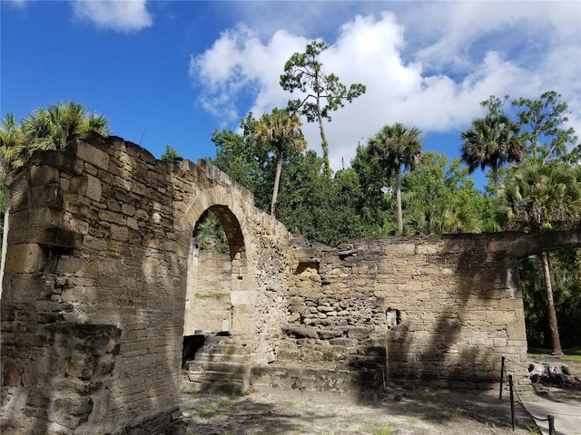 view of local wilderness