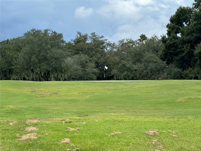 view of property's community featuring a yard