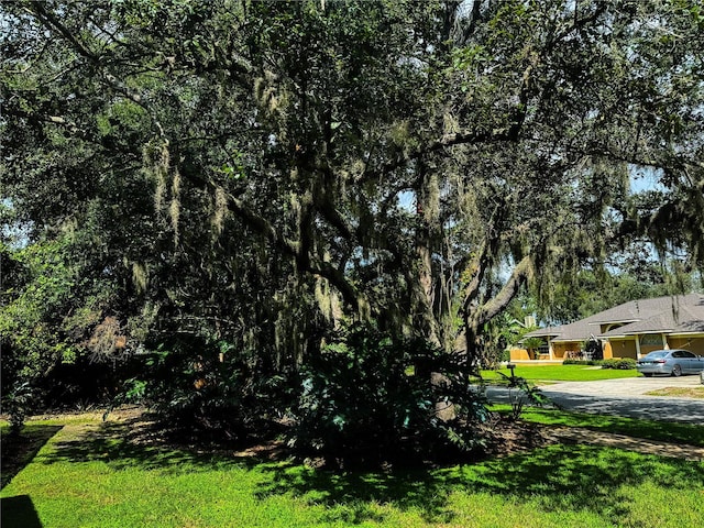 1780 Otisco Way, Winter Springs, FL 32708 - view of grassy yard