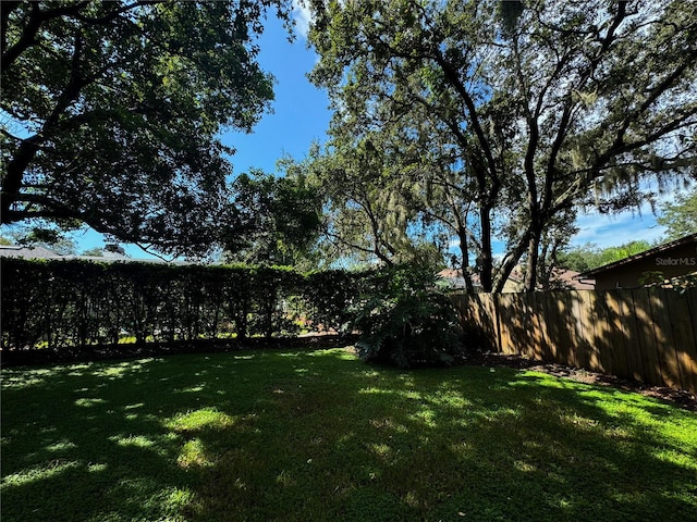 1780 Otisco Way, Winter Springs, FL 32708 - view of yard