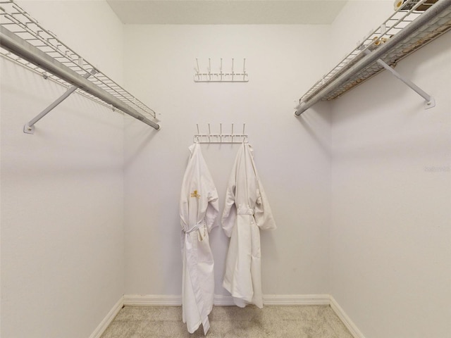 spacious closet featuring carpet floors