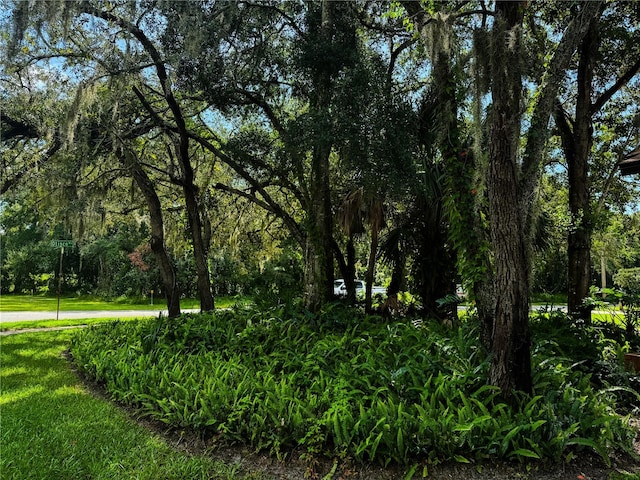 view of landscape