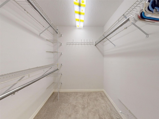 walk in closet featuring light colored carpet