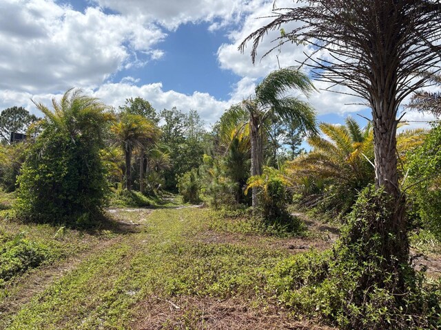 2615 Glencoe Farms Rd, New Smyrna Beach, FL 32168