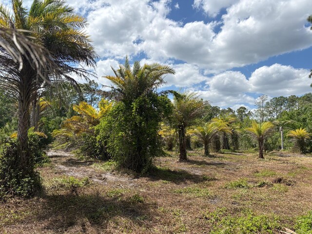 2615 Glencoe Farms Rd, New Smyrna Beach, FL 32168